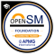 OpenSM® Foundation with exam